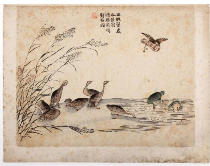 Chinese Qing Dynasty Woodblock Print Geese             Description: Depicting geese at a lake. 
Inscribed woodblock print. 
Shipping weight: 1 ounce. 
Size: Image 10 x 12 3/4; Paper: 22 1/2 x 14 7/8 inches. 
Condition: Soiled, toned, stained and with foxing.