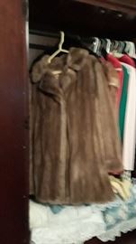 One of several furs