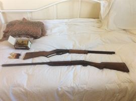 B B gun and shot gun