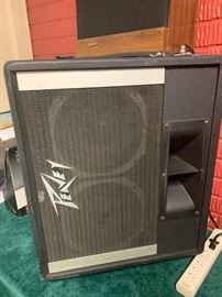 Peavey Monitor Level #210W!