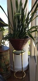 Potted plant with brass and glass plant stand