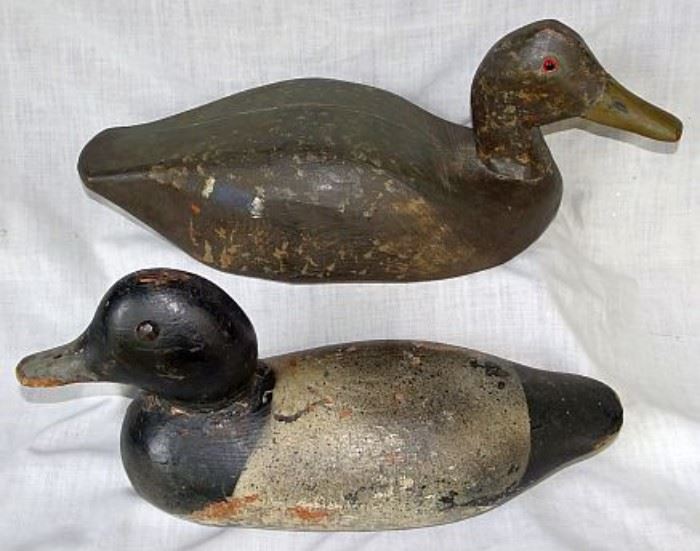 Collection of Duck Decoys