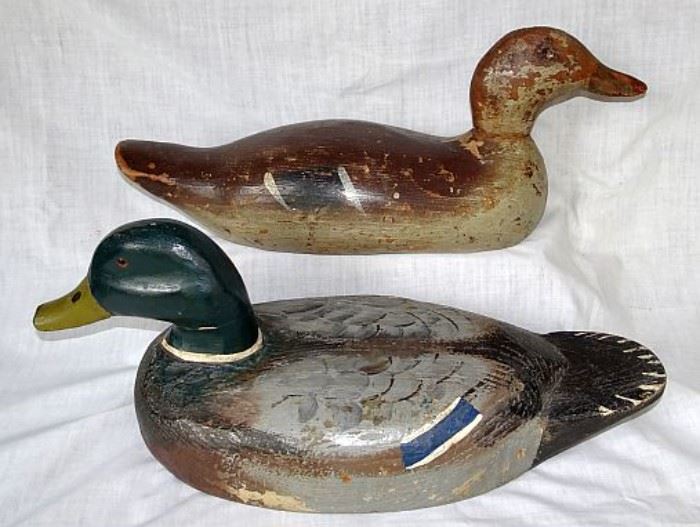 Collection of Duck Decoys