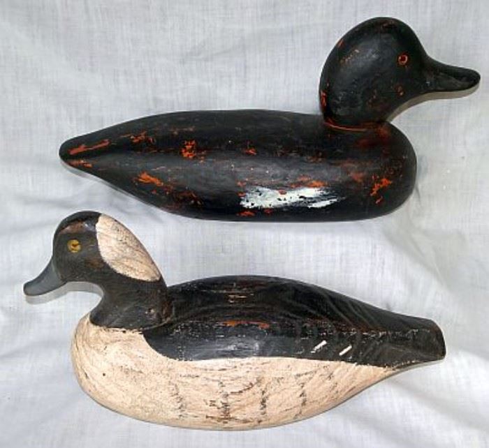 Collection of Duck Decoys