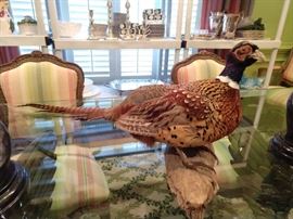 Happy pheasant, perkily perched on the Swan Lake dining table - here's lookin' at YOU, kid!