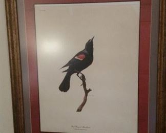 Ray Harm framed bird print