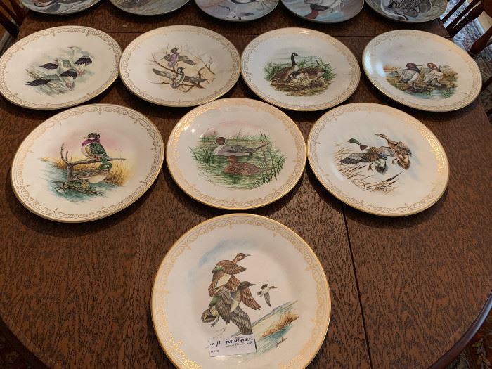 Set of 8 Boehm bird porcelain 10.5"D collector plates