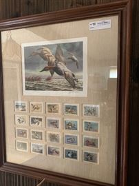 David Mass framed duck stamp print with 20 duck stamps