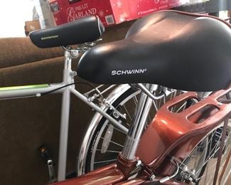 Schwinn Sanctuary Bike