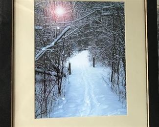 Framed Art