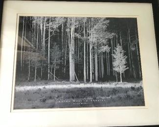 Framed Art