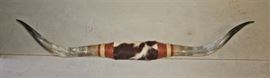 Large longhorn steer horns