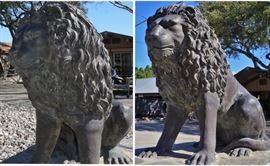 Pair of matching bronze lions