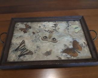 Butterfly tray