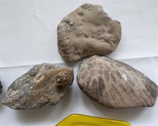 Large Petoskey stones