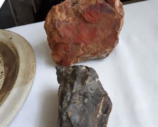 Petrified wood