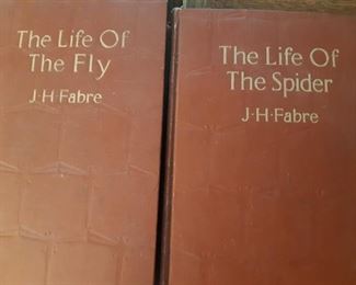 Interesting collection of books