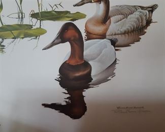 Richard Evans younger Canvasback ducks print 282 out of 3000 signed