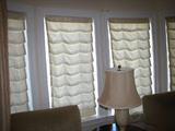 cloth window shades