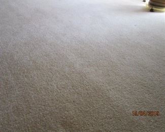 CARPET FOR SALE