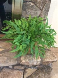  Lots of artificial plastic flowers and plants 