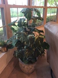  Very nice artificial plants 