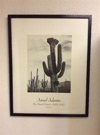 Ansel Adams saguaro cactus  framed picture 