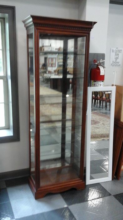 Lighted curio cabinet  and mirror to hang on a door
