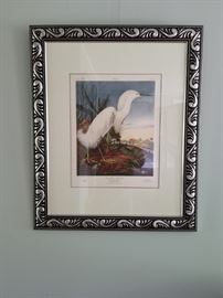 Framed Water Fowl