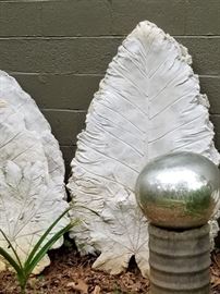 Close up of the Elephant Ears.. these are great on a patio, garden wall or to dress up the side of a garage!