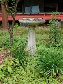 Bird Bath