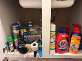 Everything Under the Sink