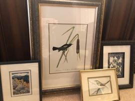 Four Birds and Flower Prints