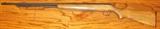 .22 caliber rifle