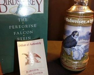 birds of prey the peregrine falcon Stein