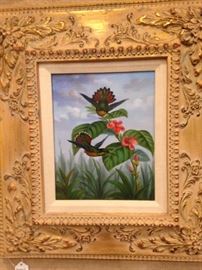Companion hummingbird framed picture