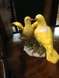 Yellow love birds