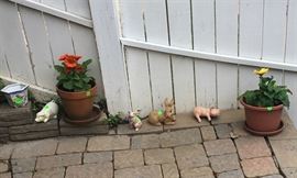 Just a few of the live plants.