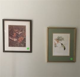 Two beautiful signed pictures of butterflies and hummingbird pictures.