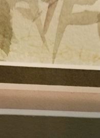 Faded Signature  watercolor 