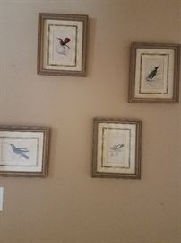 Vintage Bird Prints