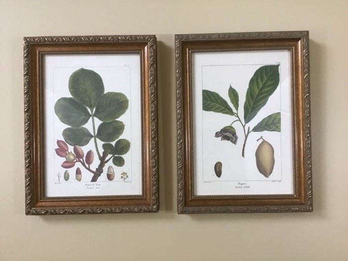 Botanical prints by Bombay Co https://ctbids.com/#!/description/share/143278
