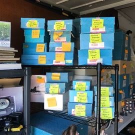 Madame Alexander collector dolls in their boxes 