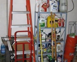 Fiberglass ladder, hand carts , log splitter 