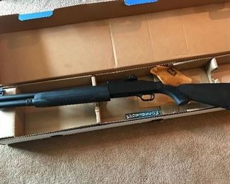 Mossberg never been shot! 