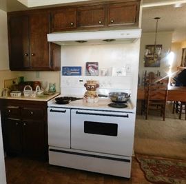 FRIGIDAIRE Electric Range