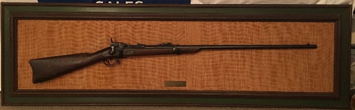 Springfield 1873 trapdoor .45-70 gun 
