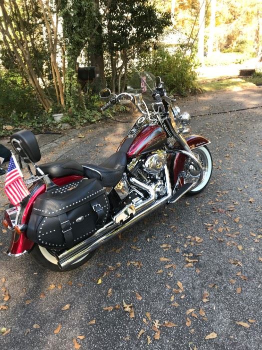 2007 Harley Soft Tail Deluxe- Another WOW!