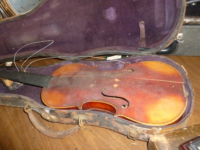 Violin