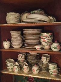 Franciscan Desert Rose